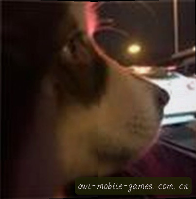 吴涛